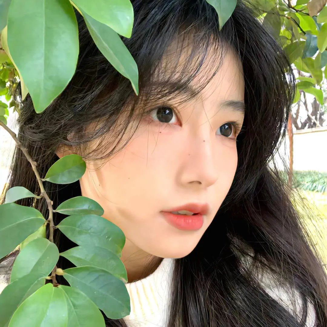 分道不扬镳